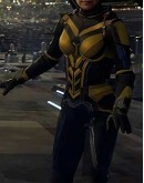 Ant-Man and the Wasp: Quantumania Evangeline Lilly Costume 