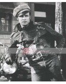 The Wild One Marlon Brando (Johnny Strabler) Leather Jacket